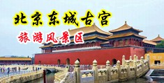 淫水xxxx中国北京-东城古宫旅游风景区